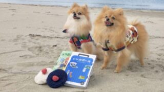 海外引越